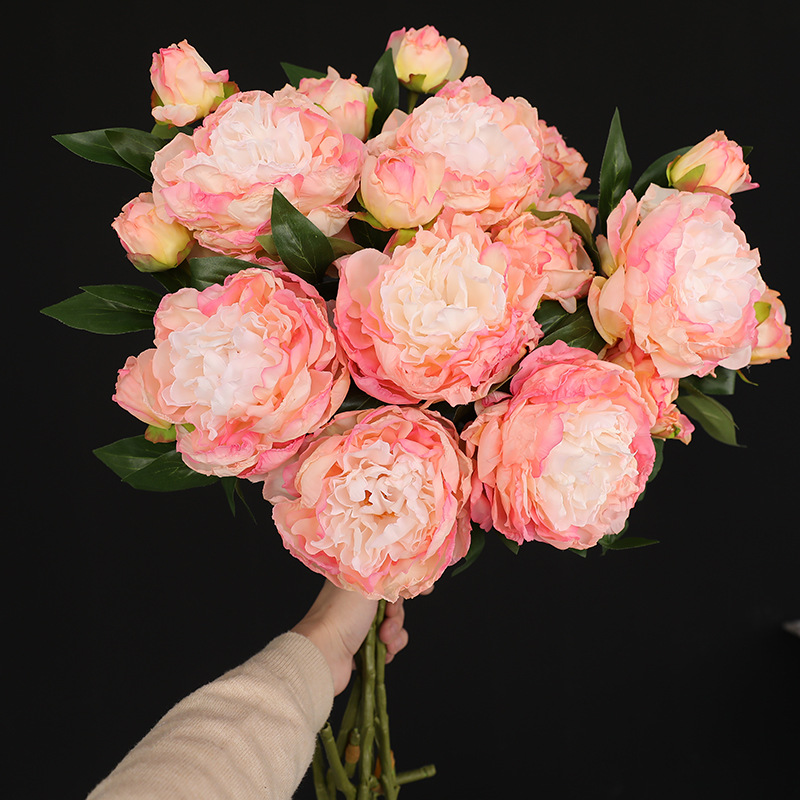 Photography Lighting Simulation - 1PC Retro 2 Head Peony Simulation