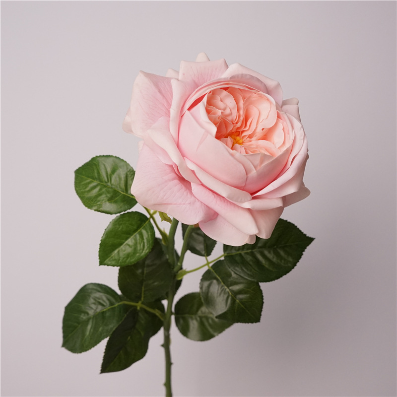 3pcs Moisturizing Rose Simulat - Photography Lighting Simulation 리뷰 및 가격