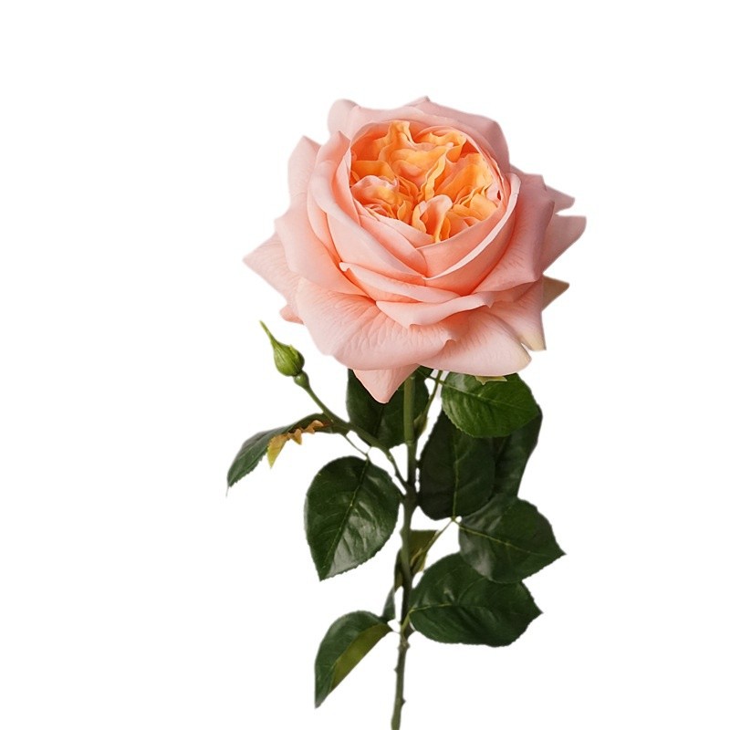 3pcs Moisturizing Rose Simulat - Photography Lighting Simulation 리뷰 및 가격
