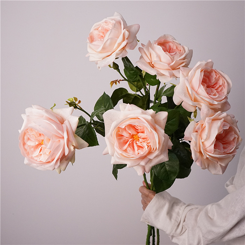 3pcs Moisturizing Rose Simulat - Photography Lighting Simulation 리뷰 및 가격