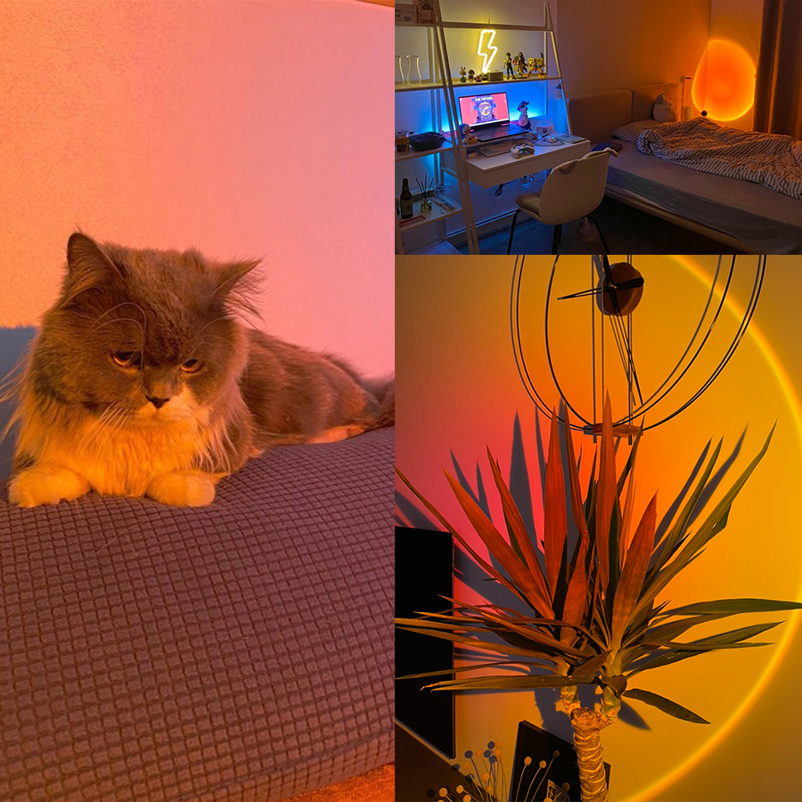 Smart Sunset Lamp Tuya LED Nig - Photography Lighting App 리뷰 및 가격
