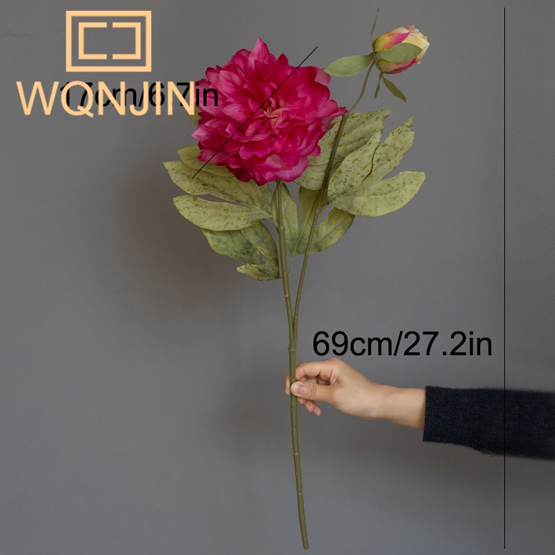 1PC Light Luxury 2 Head Big Pe - Photography Lighting Simulation 리뷰 및 가격