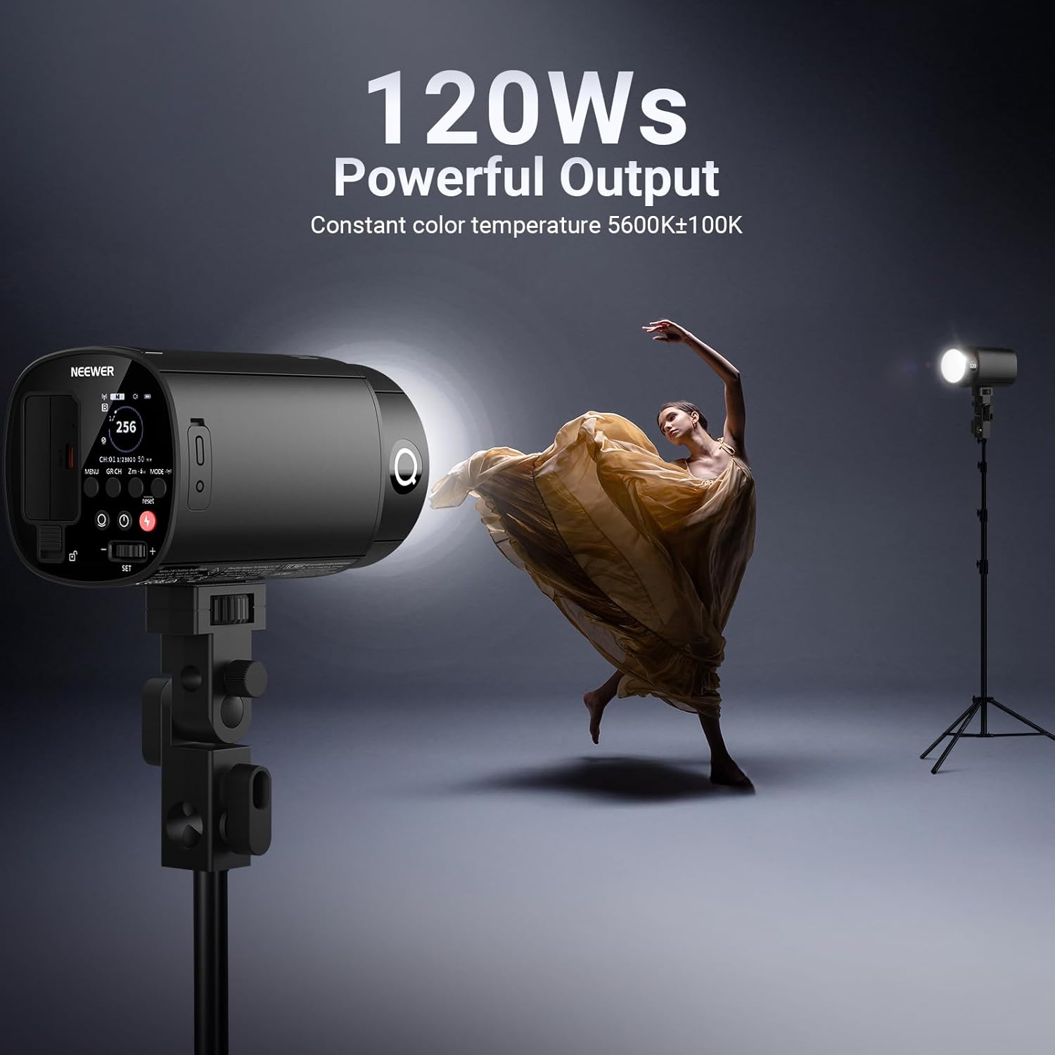 NEEWER 120Ws 2.4G TTL Outdoor  - Portable Strobe Monolight 리뷰 및 가격