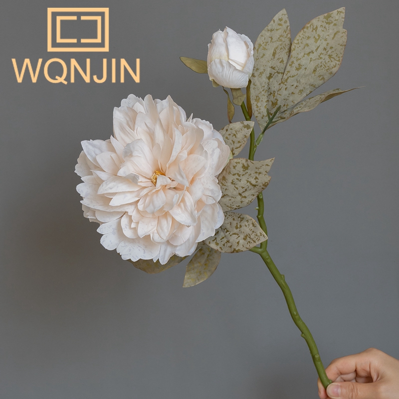 1PC Light Luxury 2 Head Big Pe - Photography Lighting Simulation 리뷰 및 가격