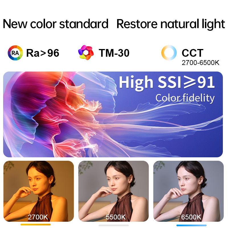JINBEI JL300BI Studio LED Vide - Lighting In Photography Studio 리뷰 및 가격
